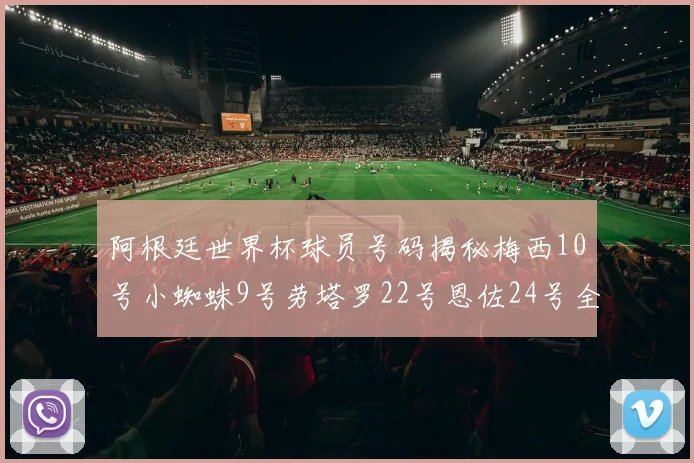 阿根廷世界杯球员号码揭秘梅西10号小蜘蛛9号劳塔罗22号恩佐24号全解析