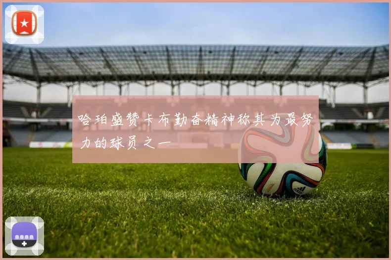哈珀盛赞卡布勤奋精神称其为最努力的球员之一