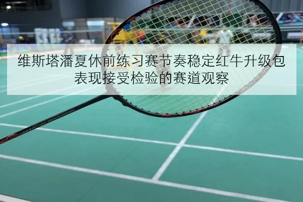 维斯塔潘夏休前练习赛节奏稳定红牛升级包表现接受检验的赛道观察