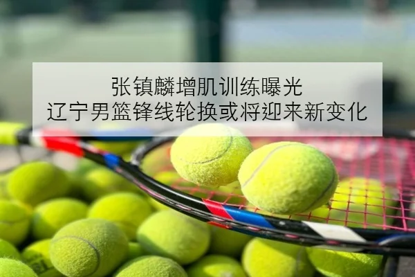 张镇麟增肌训练曝光 辽宁男篮锋线轮换或将迎来新变化